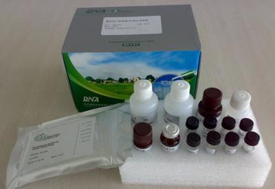 小鼠凝血酶抗凝血酶復合物(TAT)ELISA Kit 價格、廠家與產(chǎn)品圖片詳解